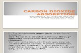Carbon Dioxide Absorption_lw08
