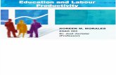 Education and Labour Productivity