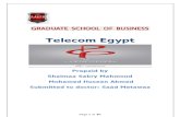 Telecom Egypt Company