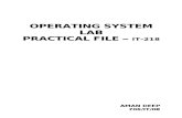 Operating System Lab-Aman