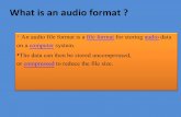 What is an Audio Format