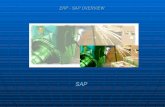 0-Erp - Sap Overview