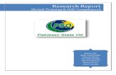 A Survey Report on the HSE of the PSO Retail Outlets Final FAU