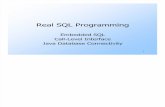 001.01 Ullman CS145 Embedded SQL CLI JDBC Fall 2004