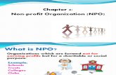 Chapter 6: Non Profit Organization