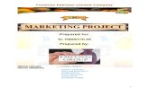 17230819 Marketing Plan for a New Product With Diagram