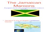 Jamacian Maroons