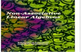 Non Associative Linear Algebras, by W. B. Vasantha Kandasamy, Florentin Smarandache