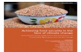Achieving Food Security uploaded by Anric Blatt