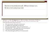 International Business Environment (5)