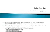 Malaria - Ilyani