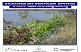 Solutions for Shoreline Erosion PDF EN1