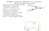 Lecture DNA Repli Transc Transl060312(2)