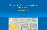 Ch. 10 Youth Justice I