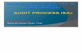 Audit Process Isas
