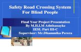 Safe Street Crossing System Org 1