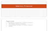 Islamic Finance v1.1