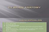 CT BRAIN Anatomy