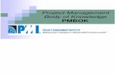 Project Management Body of Knowledge -Petar Jovanovic
