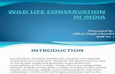 Wild Life Conservation in India