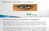 VER Carbon Overview March 12
