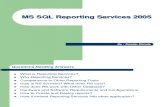 MS SQL Reporting Services 2005