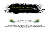 Induction of Labour_Flying Dutchman Style