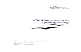 Open Office File Management