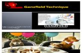 02 Ganzfeld and PK Research and Controversies