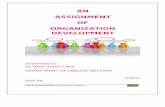 assignment of Od