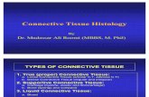 Connective Tissue 2ND Lec by Dr Roomi