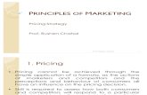 Principles of Marketing -Pricing Strategy