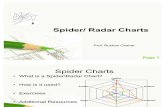 Spider Radar Charts