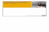 SAP Business One 2007 Integration for SAP NetWeaver (B1iSN2007)