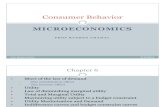 Micro Economics - Consumer Behavior