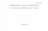 Richard B. Stephens, Tony Mroczkowski and Jane Gibson- Seeing Shell Wall Fluctuations