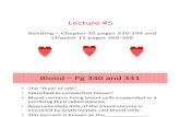 Cardiac System Lecture Blackboard