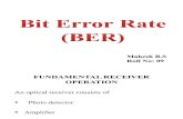 Bit Error Rate (BER)