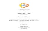 A Seminar Report+ Biometric