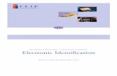 Explaining International Leadership: Electronic Identification Systems