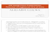 Aligarh Locks Ipr