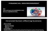 Financial Environment 17 Jan