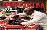 Northeast South Carolina Development Guide 2012