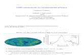 Anthony Challinor- CMB constraints on fundamental physics
