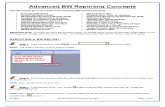 Advanced Sap Bw Reporting Concepts