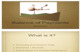 IE - Balance of Payment