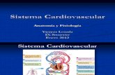 Sistema Cardiovascular-Anat y Fis