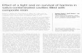 Effect of a Tight Seal on Survival of Bacteria in Saliva-contaminated Cavities Filled With Compos