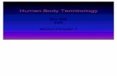 Bio 099 Body Terminology Lab