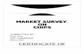 Market Survey on Chips